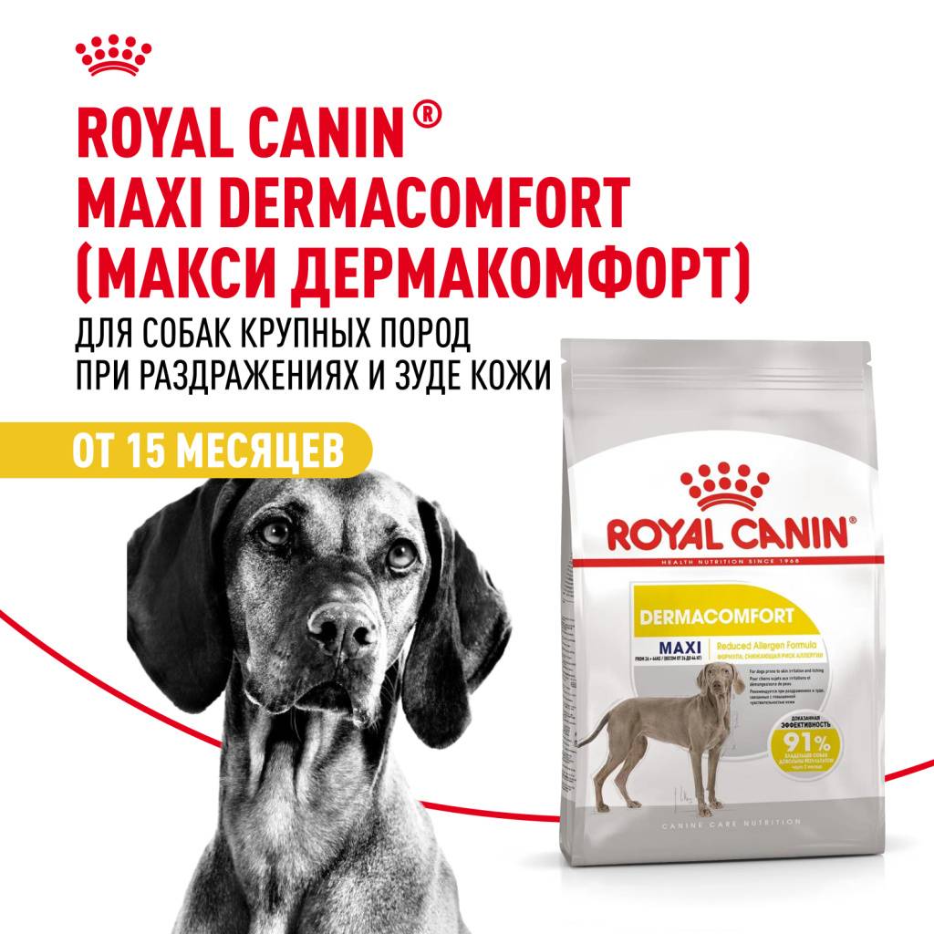 Royal Canin Maxi Dermacomfort���� ��� ����� � ����� �����