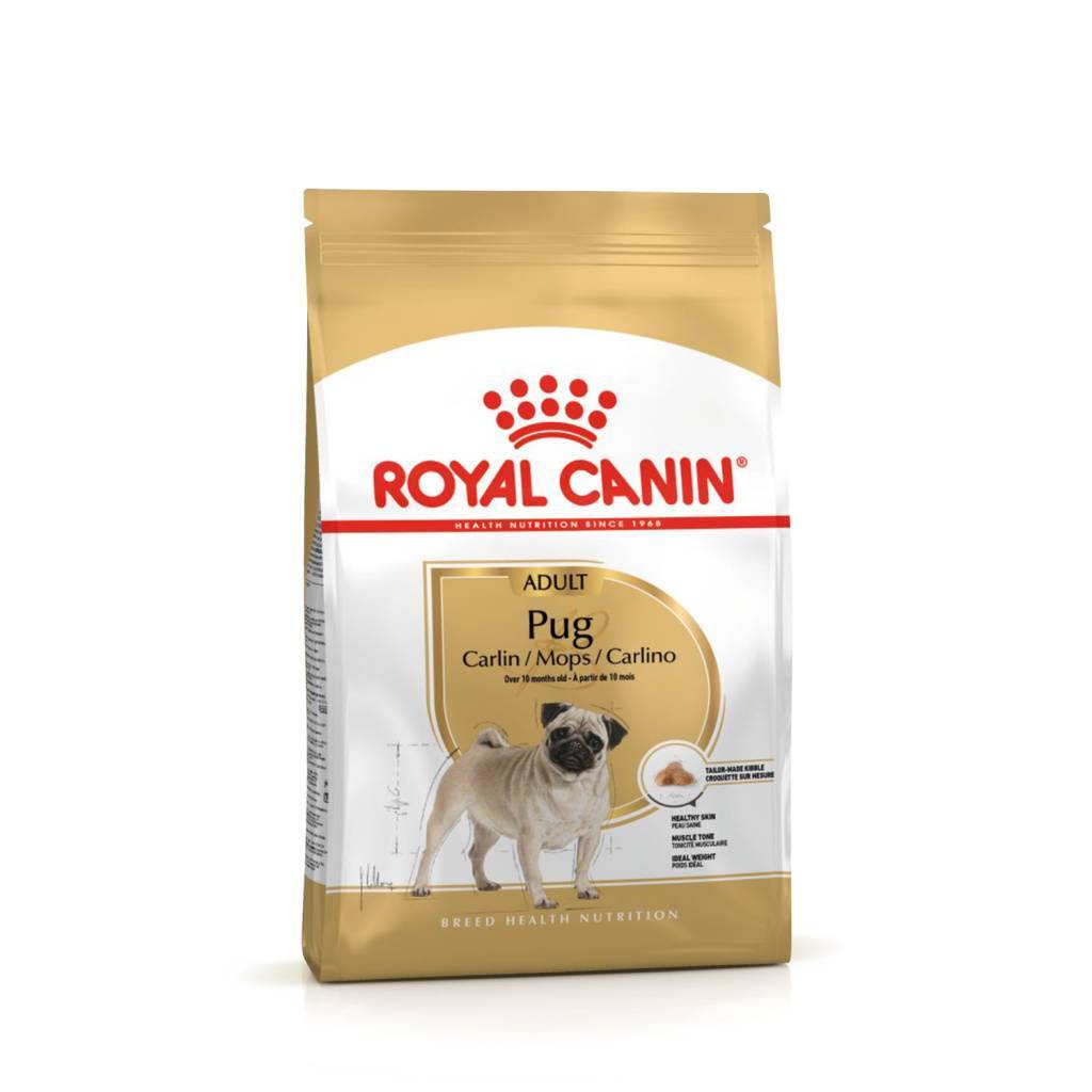 Royal Canin Pug Adult ���� ���  ������ � 10 ���.