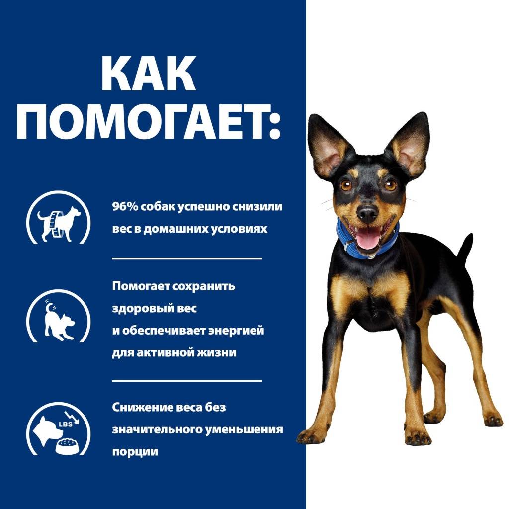 Hill's Prescription Diet Metabolic Mini Weight Management ��� ����� (������)