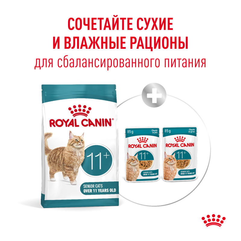 Royal Canin Senior Ageing 11+ ���� ��� �������� ����� ������ 11 ���