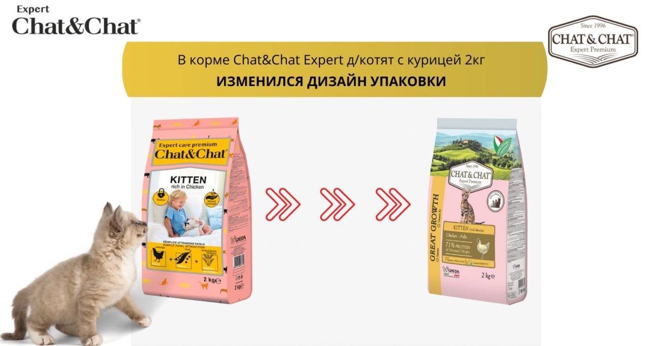 Chat&Chat Expert Kitten ��� ����� � �������