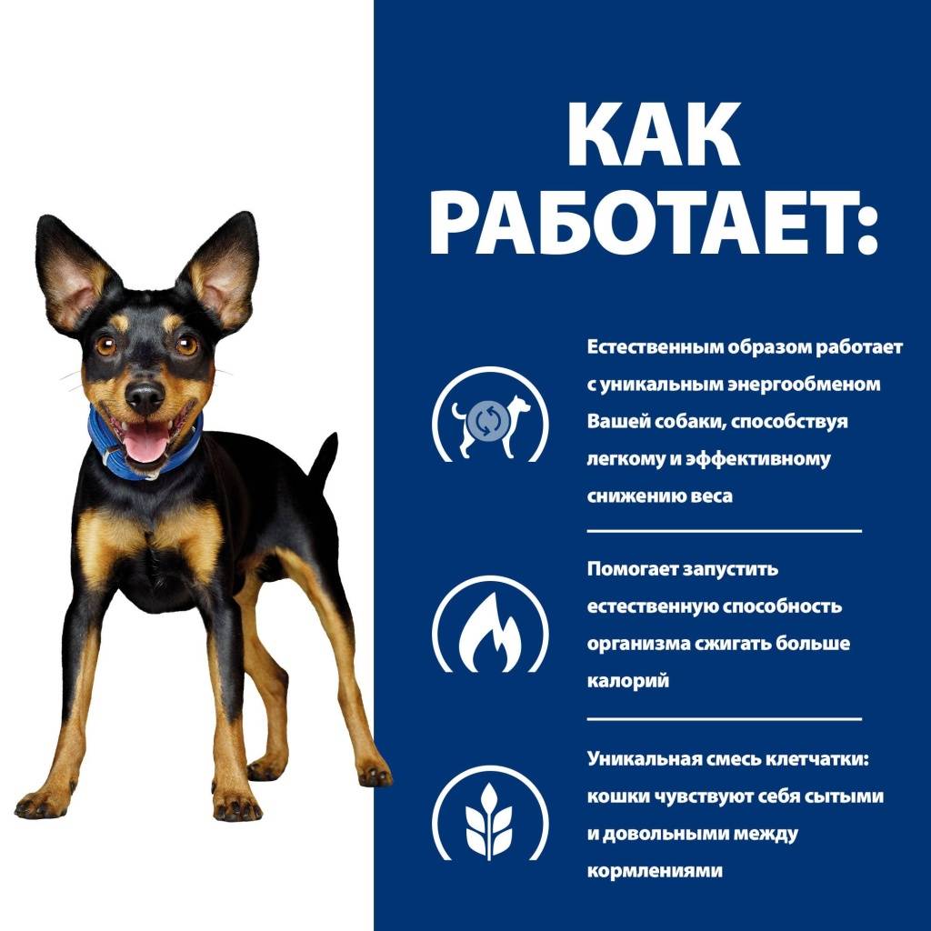 Hill's Prescription Diet Metabolic Mini Weight Management ��� ����� (������)