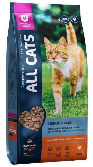  All Cats    ()