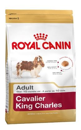 Royal Canin Cavaler King Charles Adult ��� �������� ����� ����� �������-����-������-��������