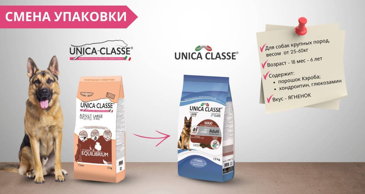 Unica Classe Adult Large Equilibrium (�������)