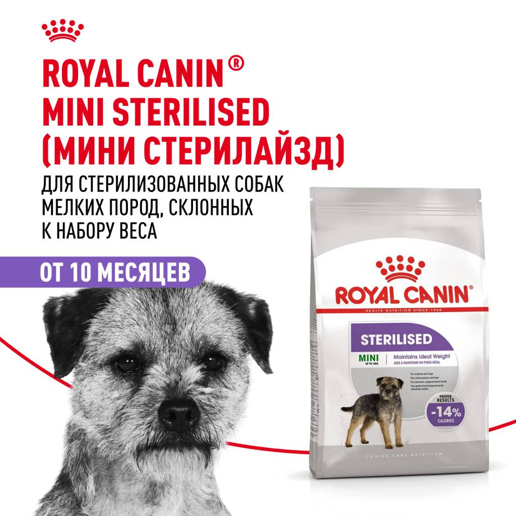 Royal Canin Mini Sterilised / ��� �������� ��������������� ����� ������ �����, �������� � ������ ����