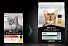 Purina Pro Plan Original Adult ()