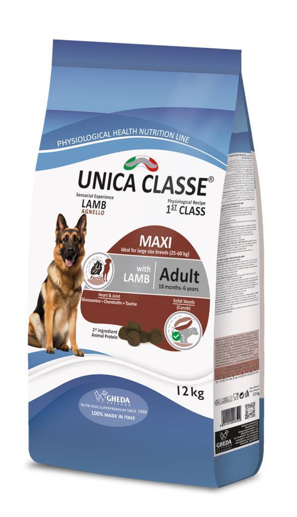 Unica Classe Adult Large Equilibrium (�������)