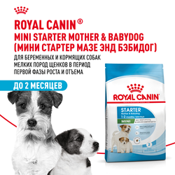 Royal Canin Mini Starter ���� ��� ������ ������ �����