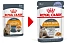 Royal Canin Intense Beauty (����)