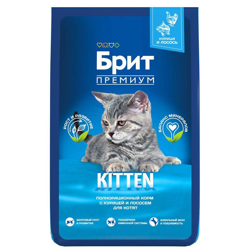 Brit Premium ���� ����� ��� ����� � ������� Cat Kitten