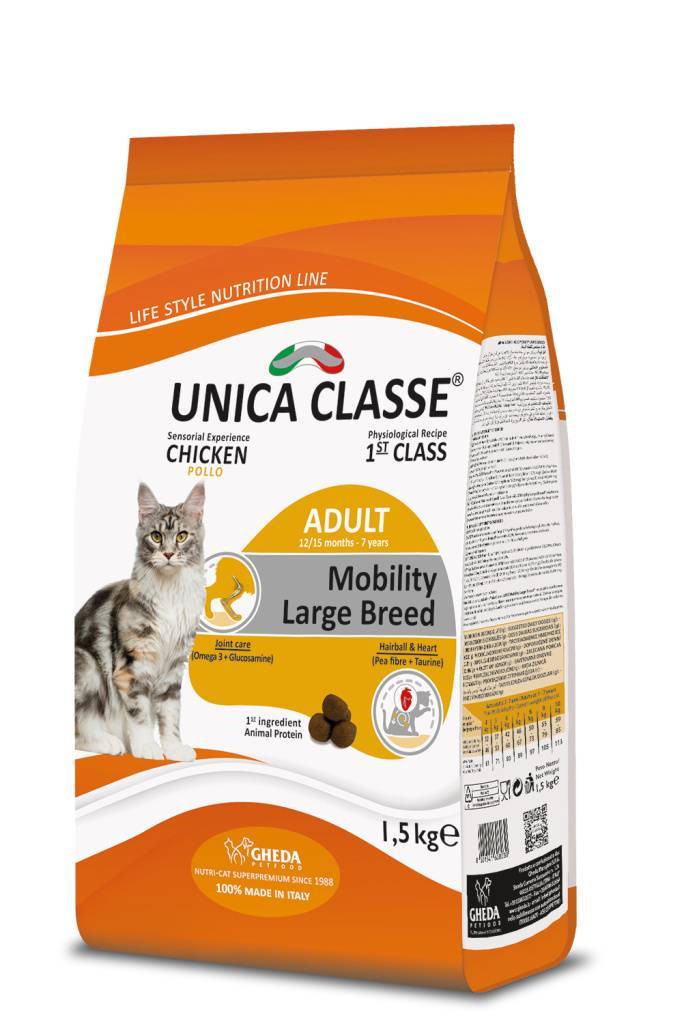 Unica Classe ��� �������� ����� ������� ����� ������ 