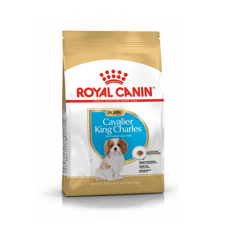 Royal Canin Cavaler King Charles Puppy 