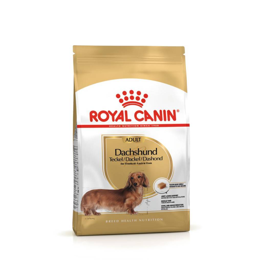Royal Canin Dachshund Adult  ���� ��� �������� ���� � 10 ���.