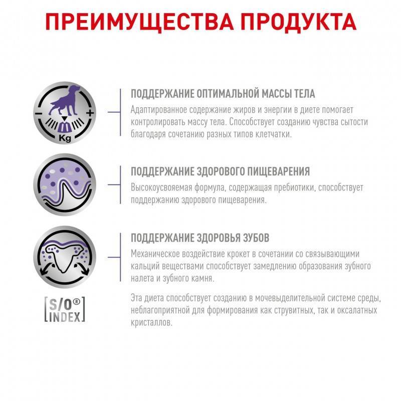 Royal Canin Neutered Medium Adult Dog ���� ��� ������ �����