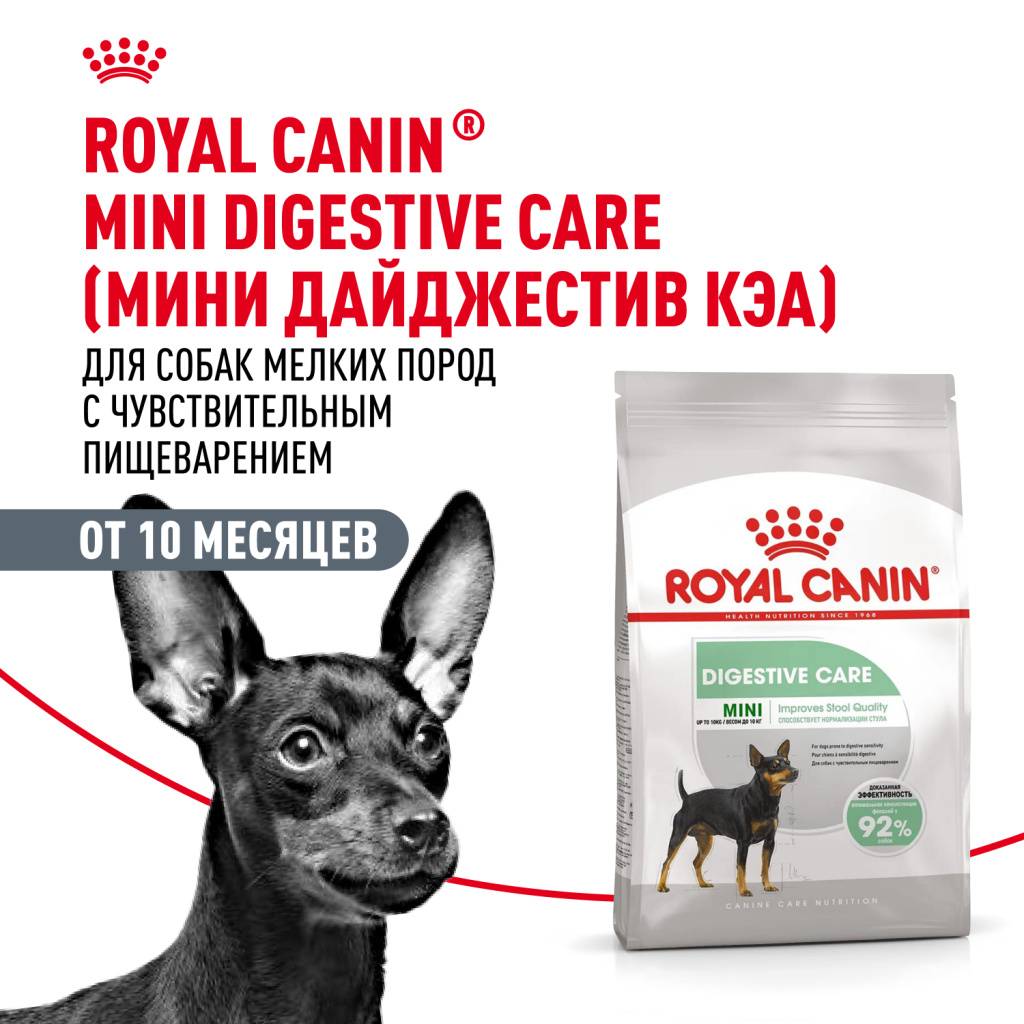 Royal Canin Mini Digestive Care ���� �/����� ������ ����� � �������������� ������������.