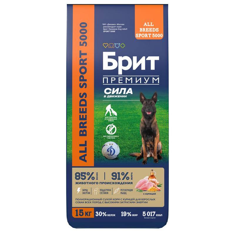 Brit Premium ���� ����� ��� �������� ����� ���� ����� � �������  � ���. ����. ������� Adult Sport 5000