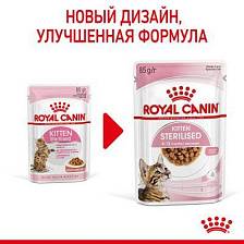 Royal Canin Kitten Sterilised (����)