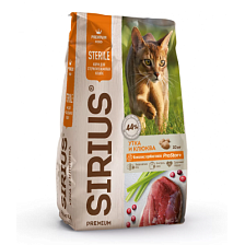 SIRIUS ��� ��������������� ����� (����, ������), 10 ��