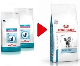 Royal Canin Feline Skin & Coat 