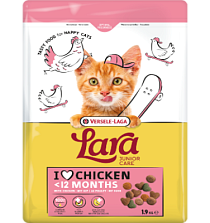 Lara Junior ��� ����� (������)