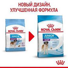 Royal Canin Giant Junior