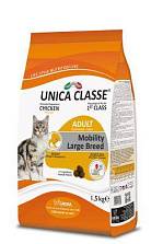 Unica Classe ��� �������� ����� ������� ����� ������ 