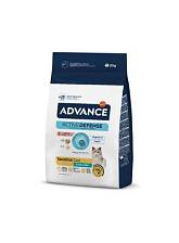 Advance Cat       , 