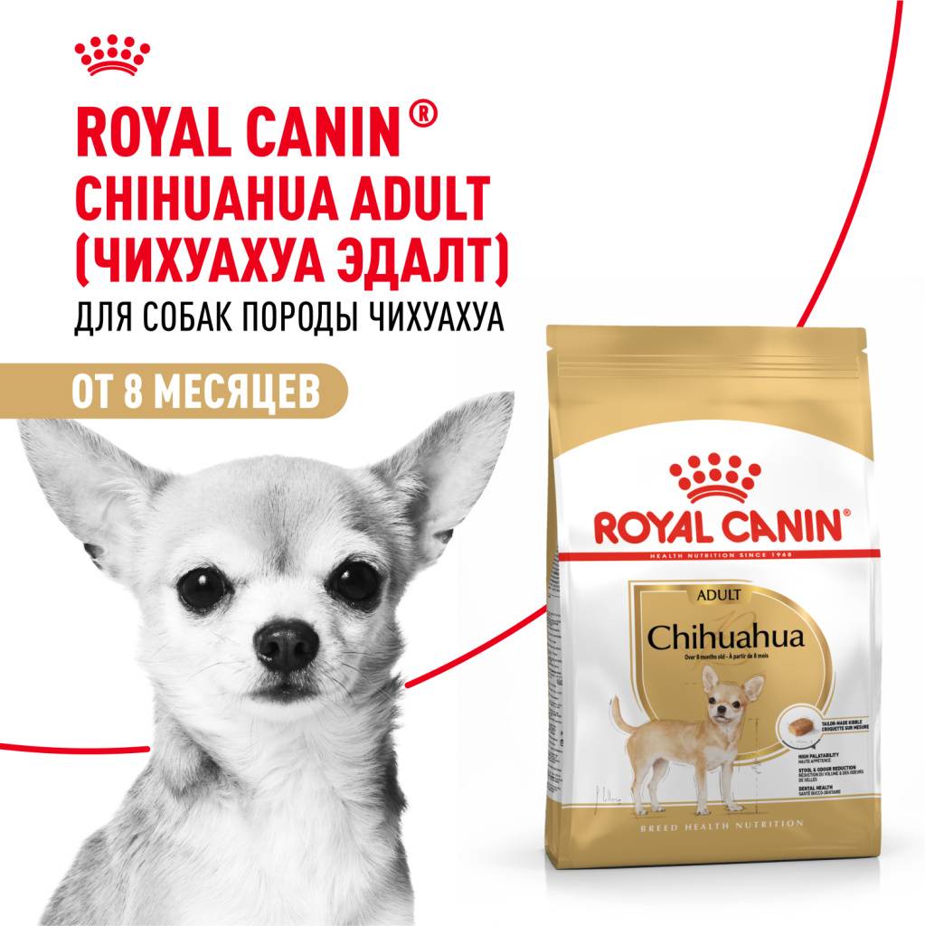 Royal Canin Chihuahua Adult ���� ��� �������� � 10 ���.