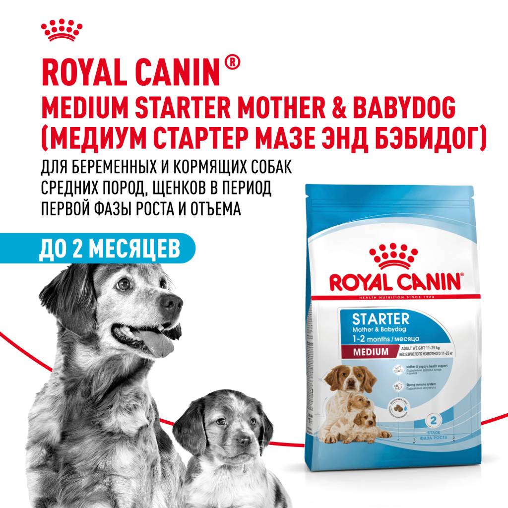 Royal Canin Medium Starter ���� ��� ������ ������� �����