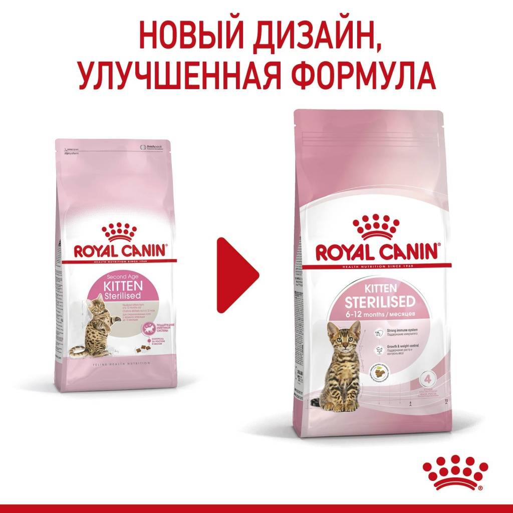 Royal Canin Kitten Sterilised 