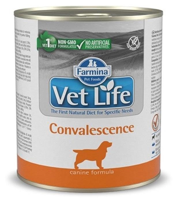  Farmina Vet Life Dog Convalescence, 300 