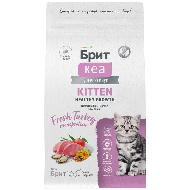 ����� ���� ��� �����, ���������� � �������� ����� � �������� Cat Kitten Healthy Growth