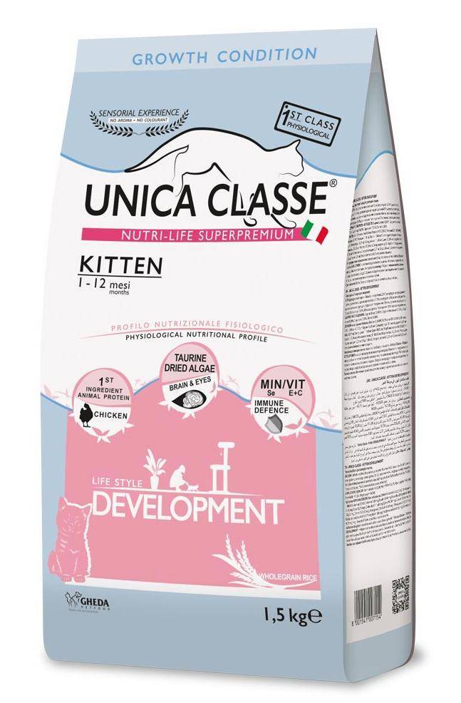 Unica Classe Kitten Development ()