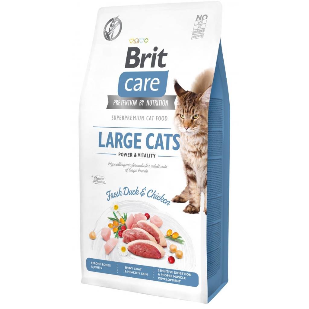     Brit Care Cat GF Large cats Power & Vitality