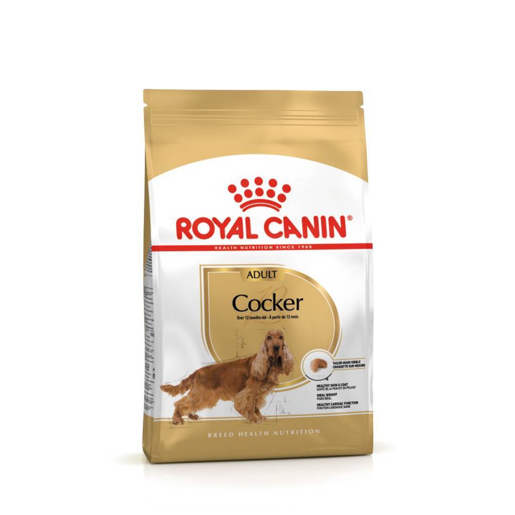 Royal Canin Cocker Adult  ���� ��� �����-��������� � 12 ���