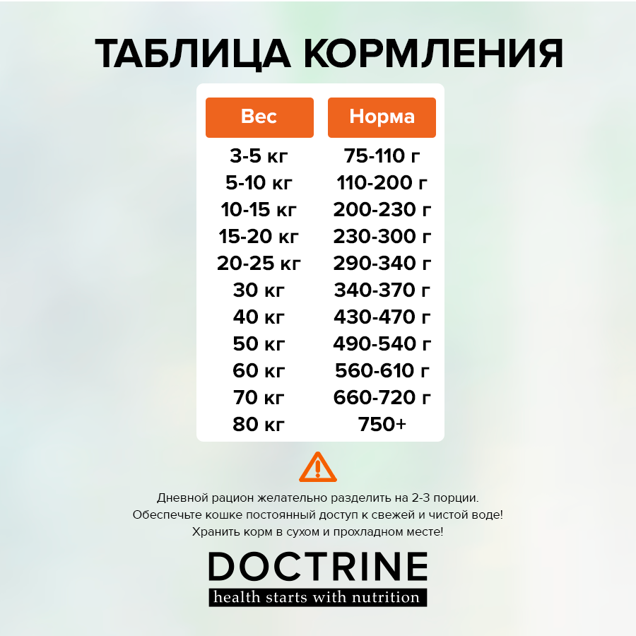 Doctrine        