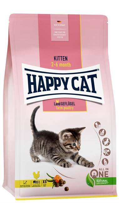 Happy Cat Kitten ()