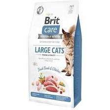 Сухой корм для кошек Brit Care Cat GF Large cats Power & Vitality
