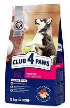 Club 4 Paws ����� ���� ��� ������ ���� �����