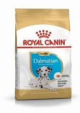 Royal Canin  Dalmatian Puppy