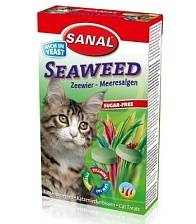    Seaweed   , Sanal 85 