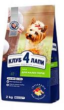 Club 4 Paws ����� ���� ��� �������� ����� ����� �����