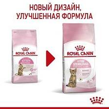 Royal Canin Kitten Sterilised 
