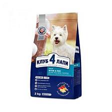 Club 4 paws ��������������� � �������� � ����� ��� ����� �����