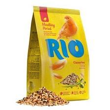 RIO      