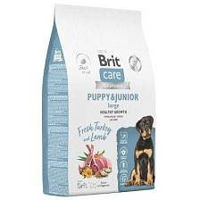 Brit Dog Puppy&Junior L Healthy Growth