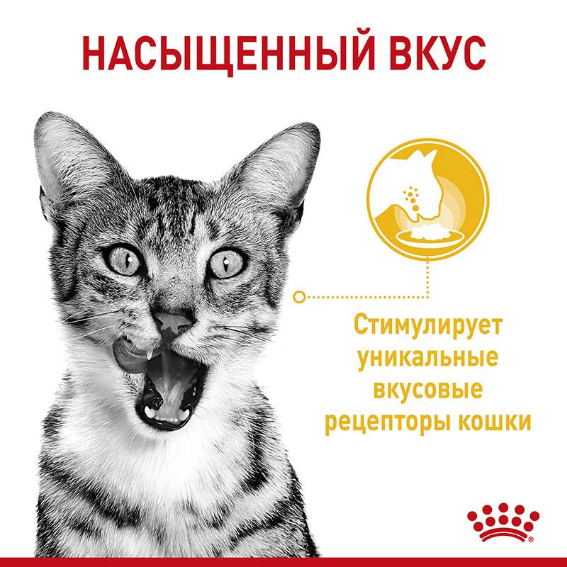 Royal Canin Sensory Taste (соус)