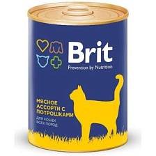 Brit Premium Cat (   )