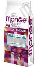 Monge Cat Kitten ()